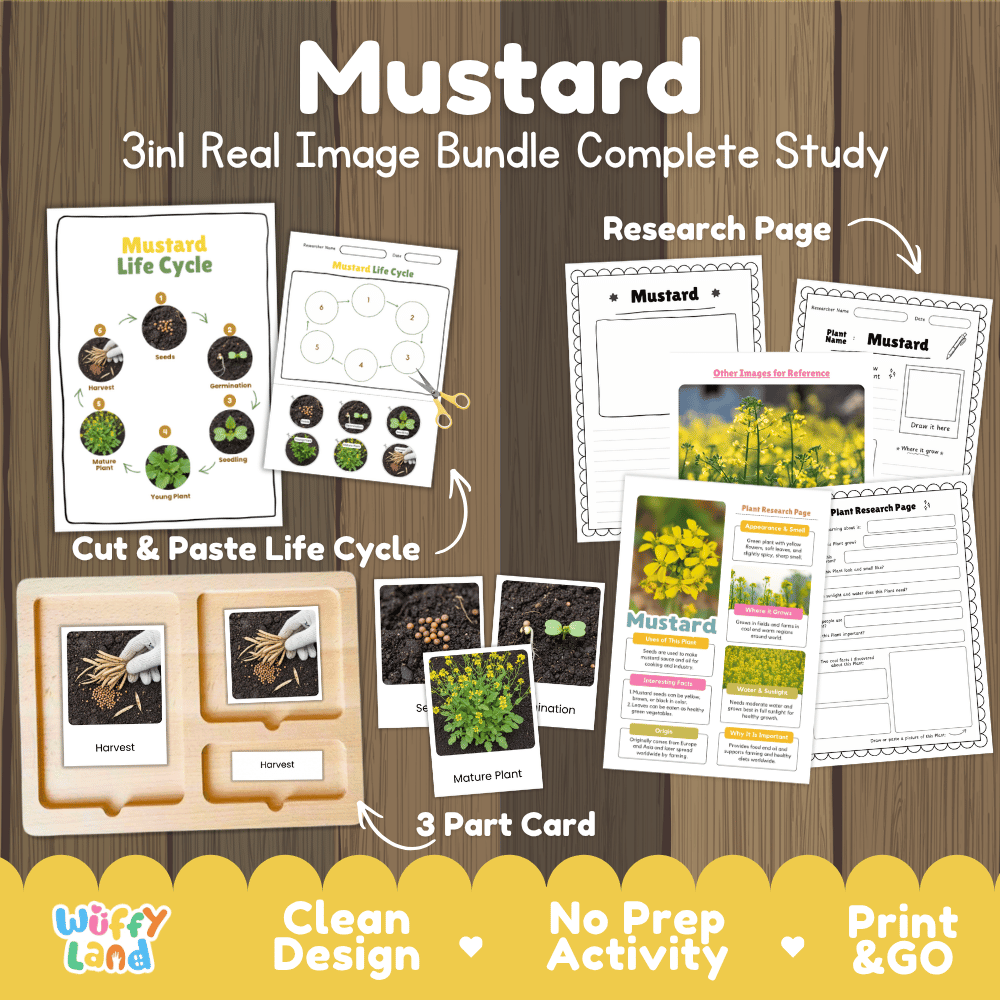 Mustard plant 3in1 real image bundle complete study printable featuring life cycle cut and paste worksheets, Montessori 3-part cards, and research pages