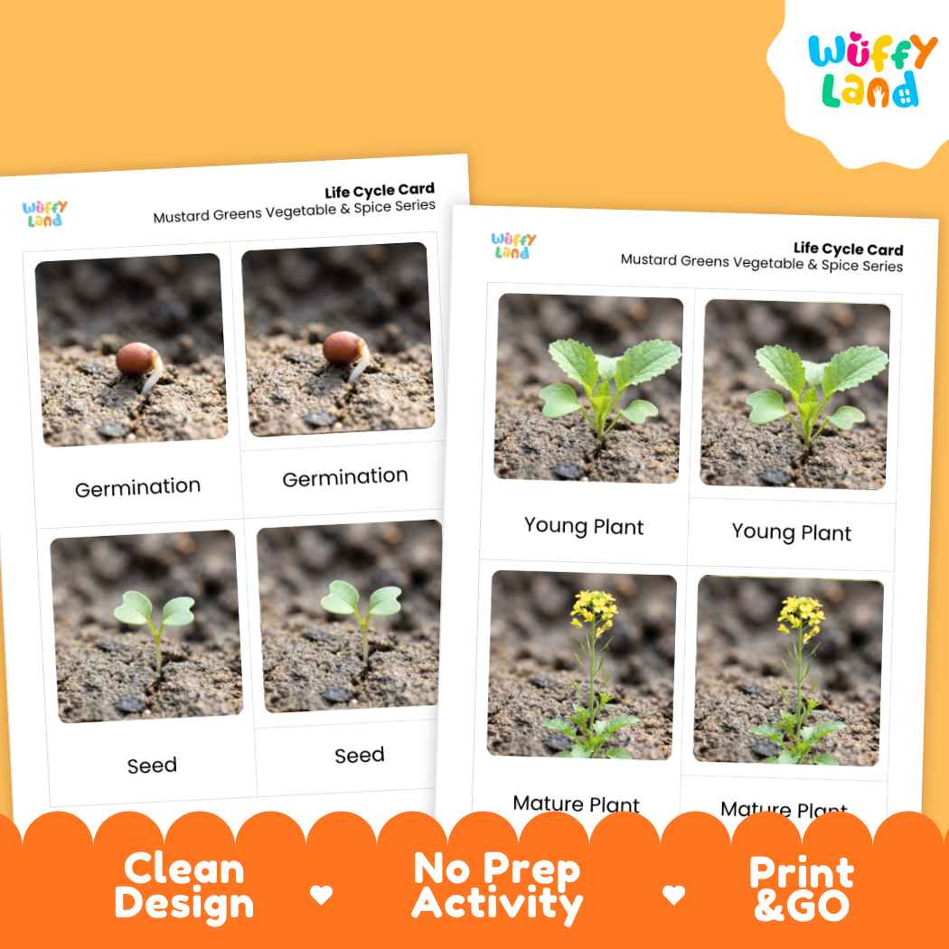 Two printed life cycle cards for mustard greens vegetables and spices series shown on an orange background, with the Wiffy Land logo in the top right and promotional text along the bottom.