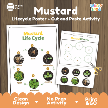 Mustard Lifecycle Poster and Cut and Paste Activity Worksheets | Plant Science Printables