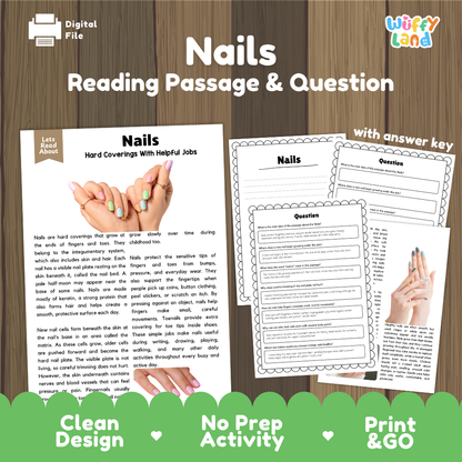 Nails reading comprehension passage and questions printable activity pack with answer key for elementary students