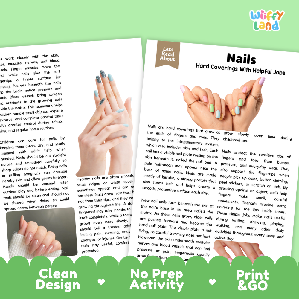 Teacher answer key page showing complete question solutions for Nails human body reading comprehension practice