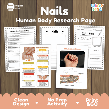 Nails Human Body Research Page Worksheets Anatomy Science Activity