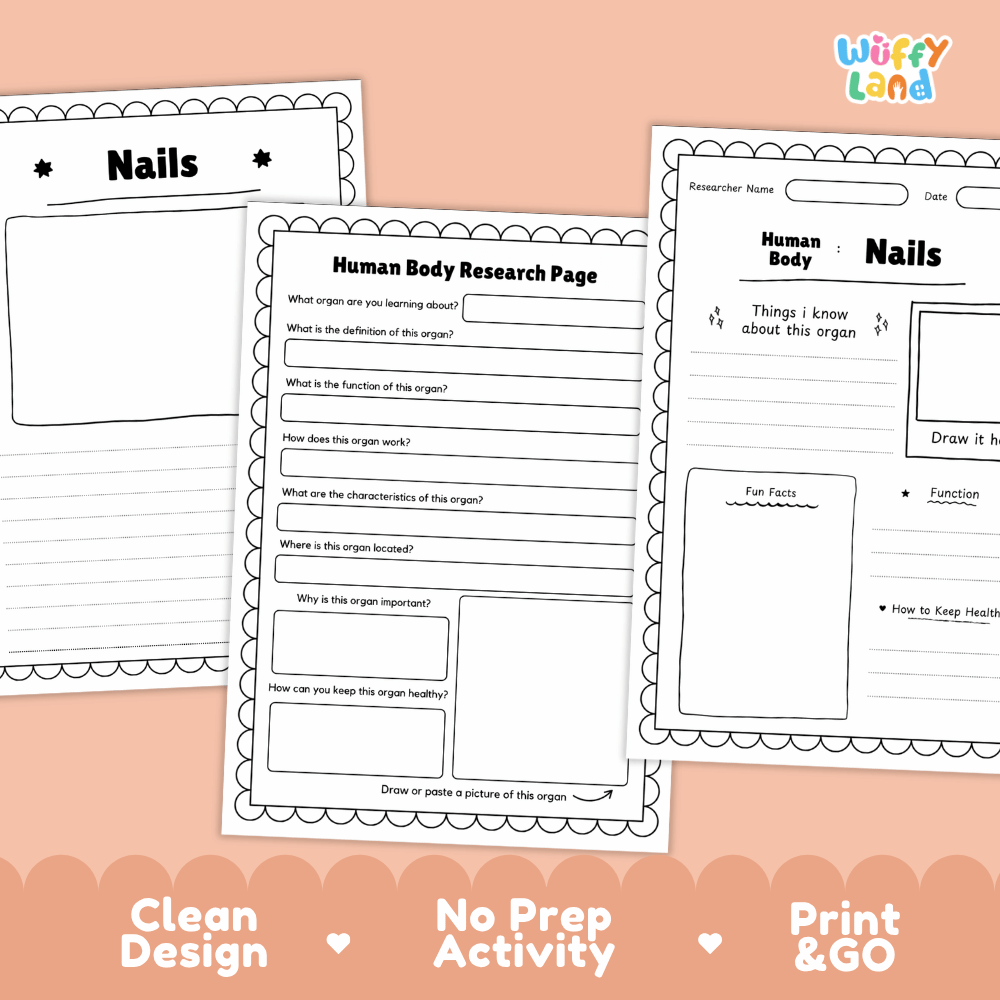 Nails Human Body Research Page Worksheets Anatomy Science Activity