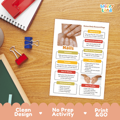 Nails Human Body Research Page Worksheets Anatomy Science Activity