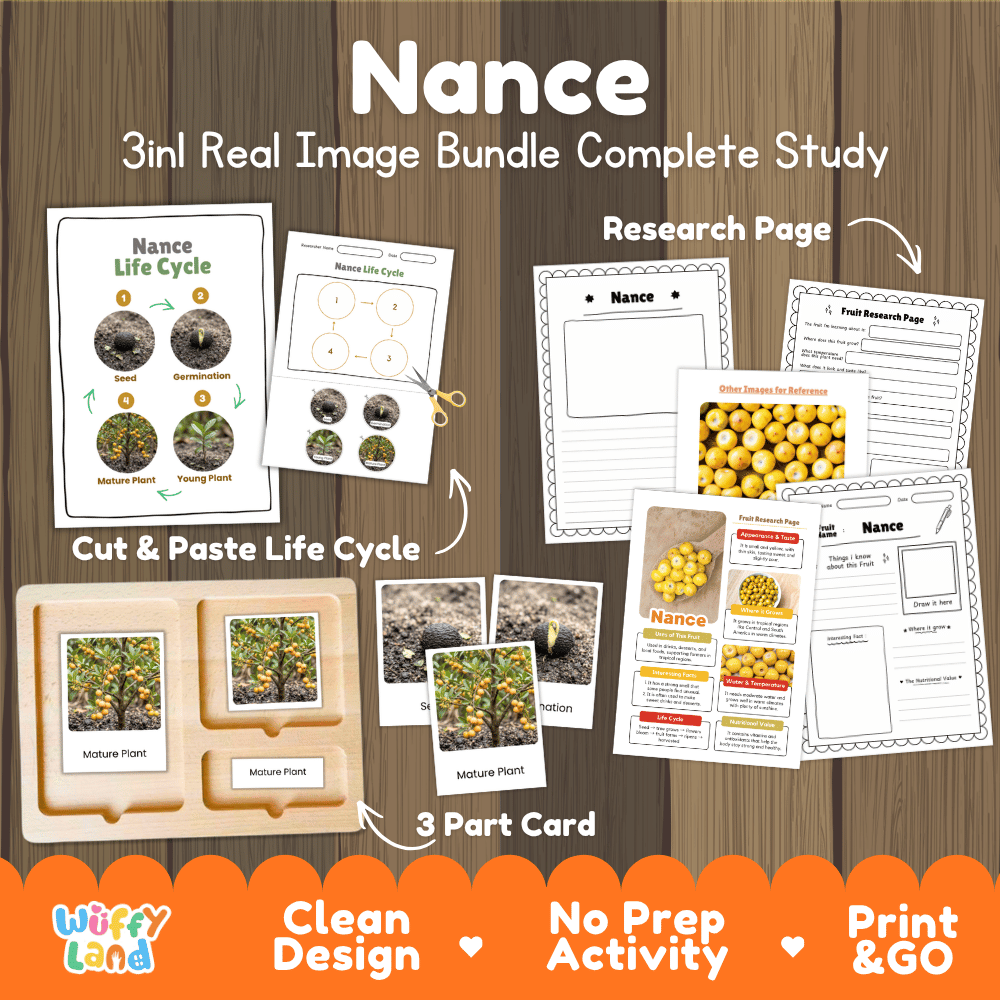 Nance fruit life cycle 3in1 real image bundle complete study overview featuring cut and paste worksheets, Montessori 3-part cards, and research pages from Wuffy Land 🍒🌱