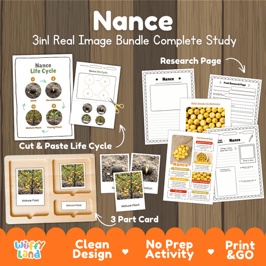 Nance fruit life cycle 3in1 real image bundle complete study overview featuring cut and paste worksheets, Montessori 3-part cards, and research pages from Wuffy Land 🍒🌱
