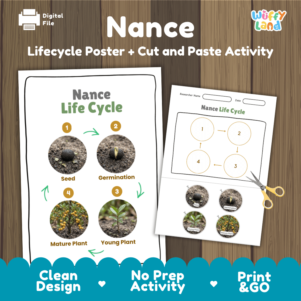 Nance plant life cycle educational poster and cut and paste printable sequencing activity featuring real photos for elementary science