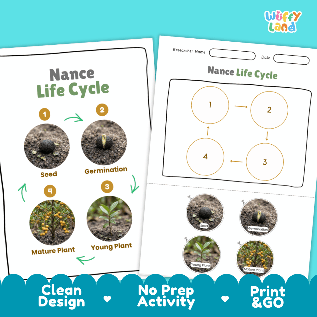 Print and go digital PDF plant science activity featuring clean design layout, researcher name line, and zero prep classroom format