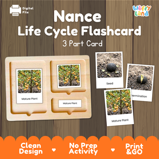 Montessori 3-part nomenclature cards showing authentic photos of nance tree growth stages displayed on a wooden tray 🗂️🏷️