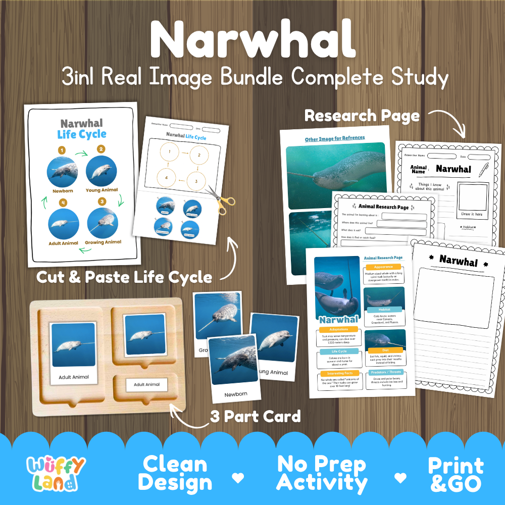 Narwhal 3-in-1 real image bundle complete study cover showing cut and paste life cycle, 3 part cards, and research pages