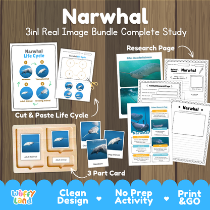 Narwhal 3-in-1 real image bundle complete study cover showing cut and paste life cycle, 3 part cards, and research pages