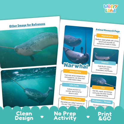 Narwhal Animal Research Page Worksheets Writing Activity