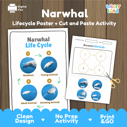 Narwhal Life Cycle Poster and Cut and Paste Activity Worksheets