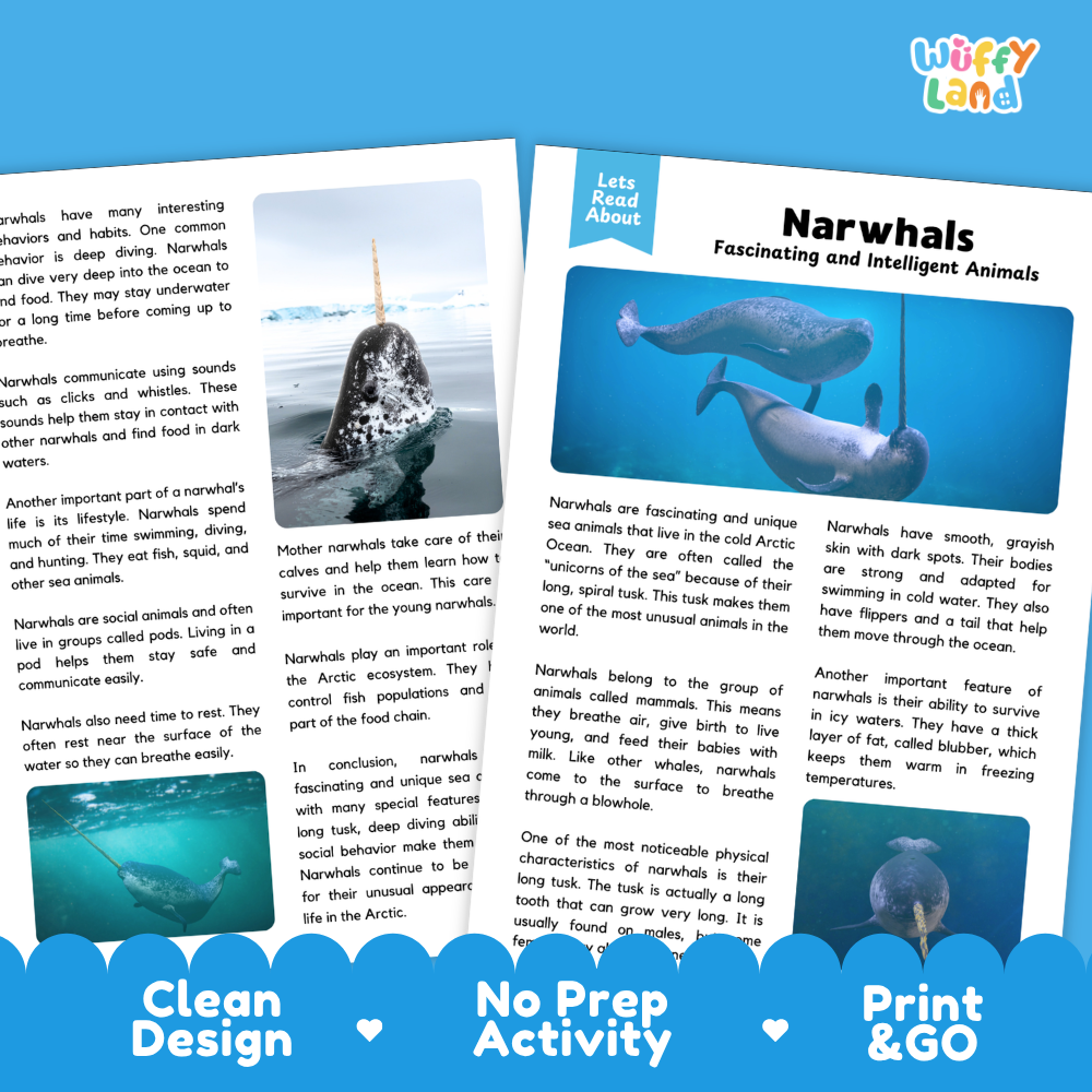 Two printed activity cards for children about narwhals, laid flat on a white background. The cards have a clean white design with blue and gray text blocks, heart icons, and a blue 'Wuffly Land' logo at the bottom.