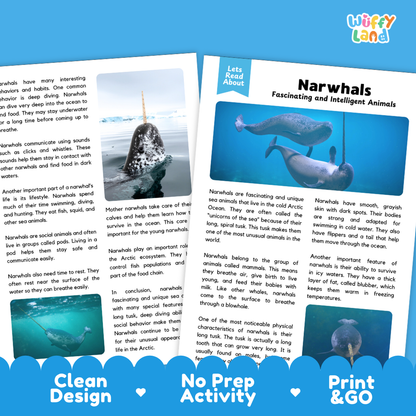 Two printed activity cards for children about narwhals, laid flat on a white background. The cards have a clean white design with blue and gray text blocks, heart icons, and a blue 'Wuffly Land' logo at the bottom.