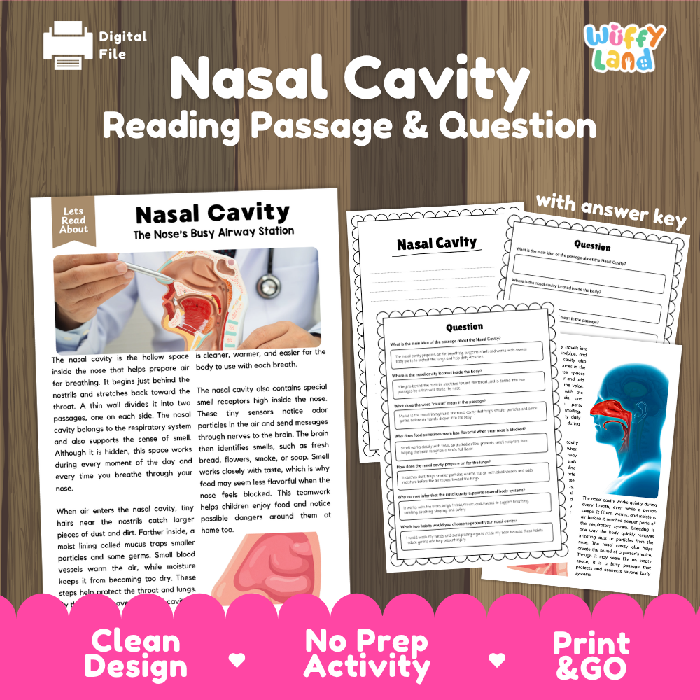 Nasal cavity reading comprehension passage and questions printable activity pack with answer key for elementary students