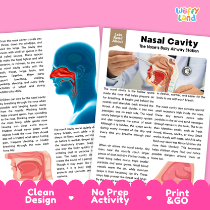 Teacher answer key page showing complete question solutions for Nasal Cavity human body reading comprehension practice