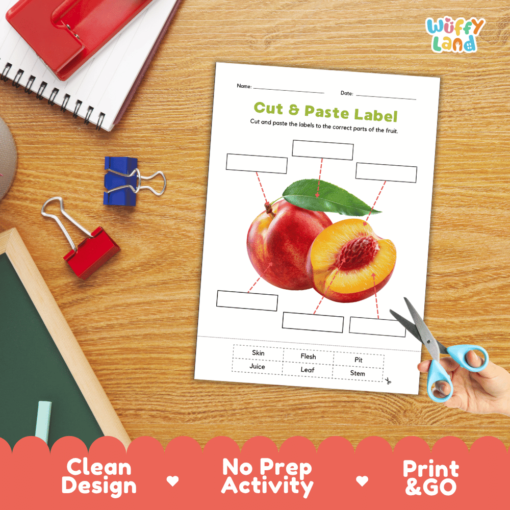 Differentiated nectarine fruit labeling worksheets featuring write-in callout boxes and vocabulary word bank