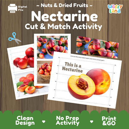 Nectarine cut and match activity cover showing printable fine motor puzzle sheets and fruit photographs