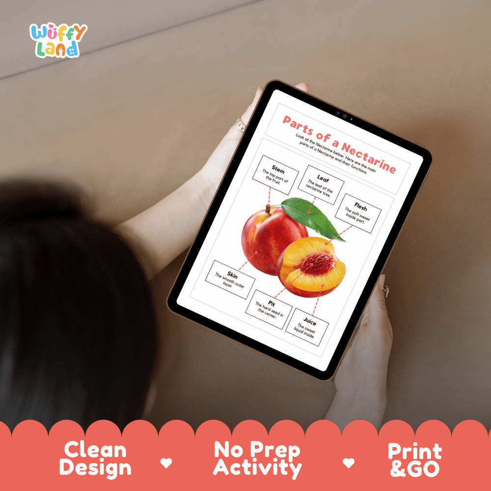 Hands-on cut and paste nectarine labeling worksheet featuring dashed cut-out word tiles, pointer lines, and scissors graphic