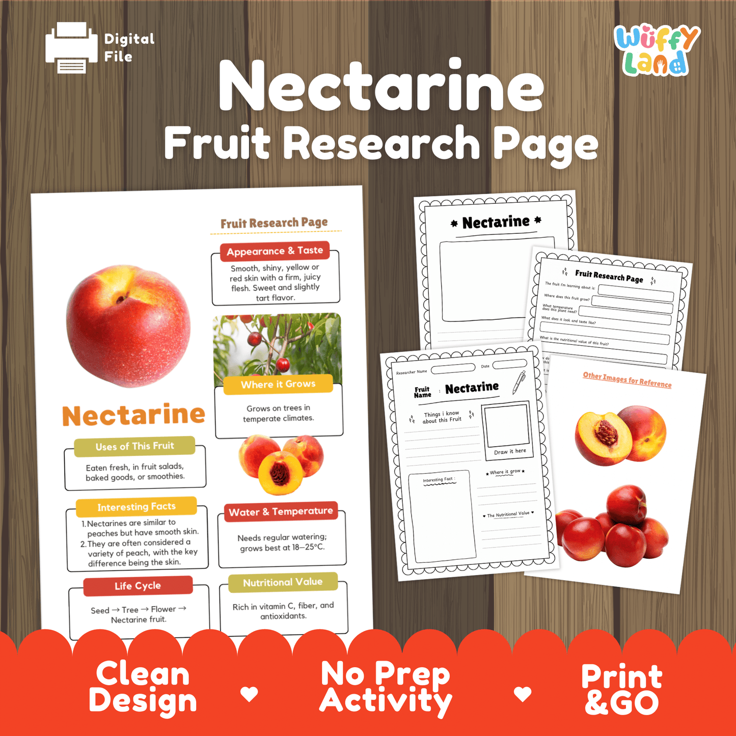 Nectarine Fruit Research Activity Worksheet Science Healthy Eating Summer