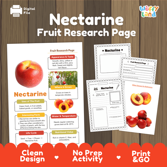 Nectarine Fruit Research Activity Worksheet Science Healthy Eating Summer