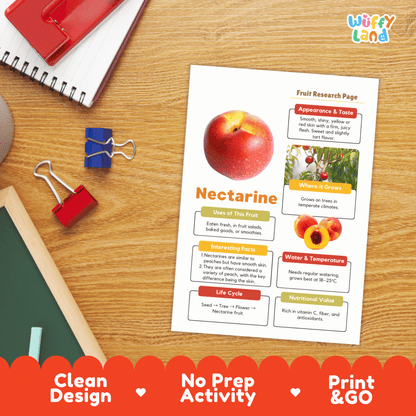 Nectarine Fruit Research Activity Worksheet Science Healthy Eating Summer