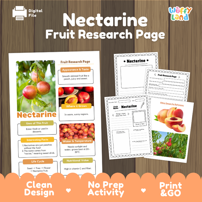 Nectarine Fruit Research Page Worksheets and Fact Sheet