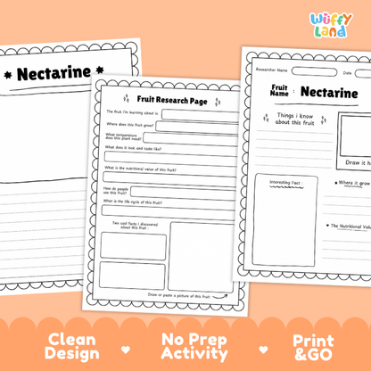Nectarine Fruit Research Page Worksheets and Fact Sheet