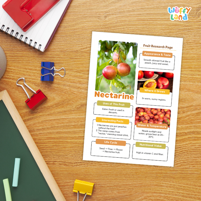 Nectarine Fruit Research Page Worksheets and Fact Sheet