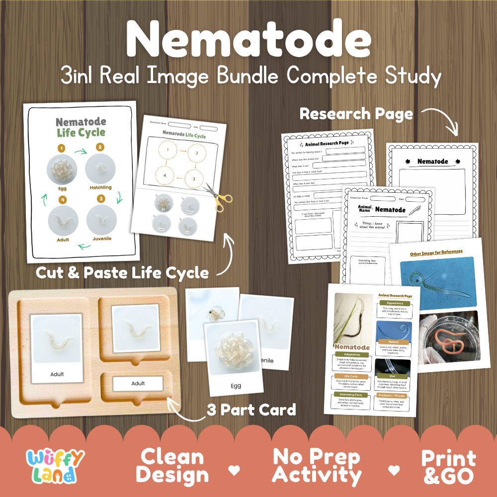 Nematode 3-in-1 real image bundle complete study cover showing cut and paste life cycle, 3 part cards, and research pages