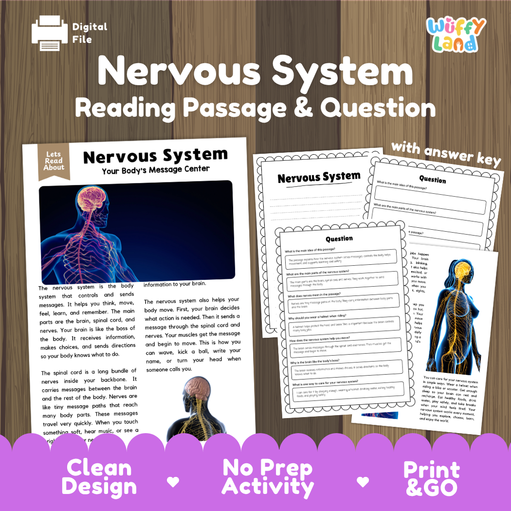 Nervous system reading comprehension passage and questions printable activity pack with answer key for elementary students