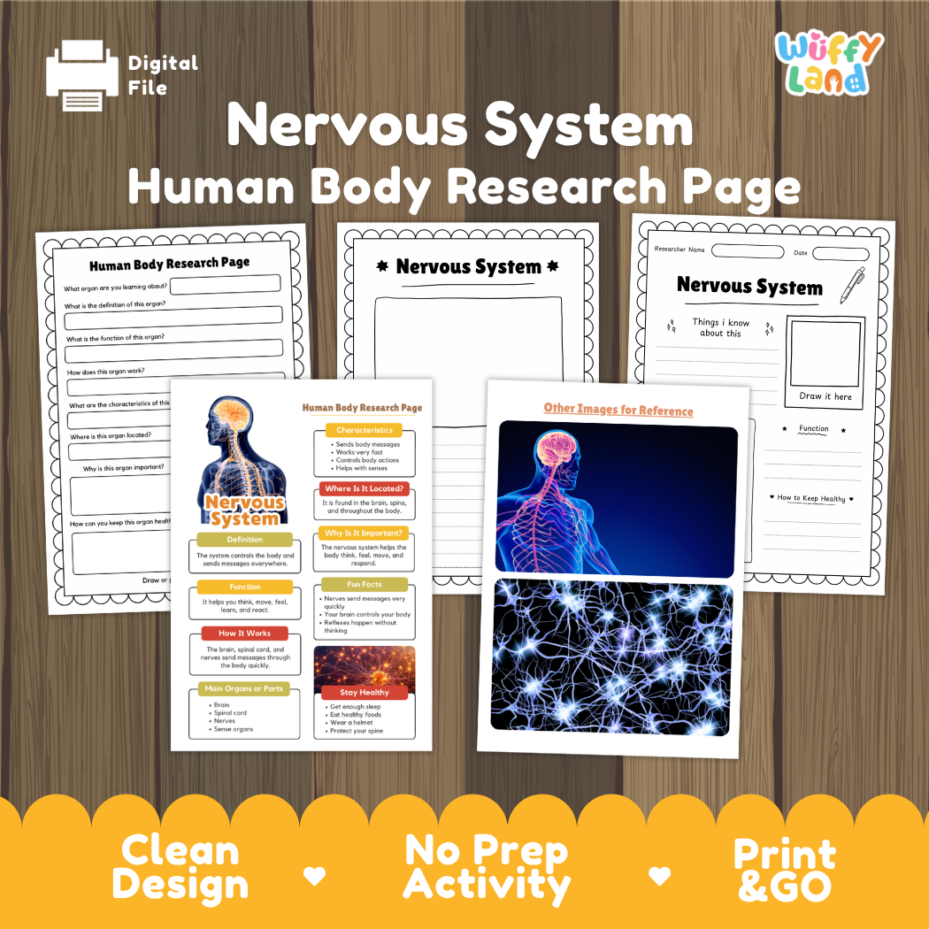 Nervous System Human Body Research Page and Worksheets
