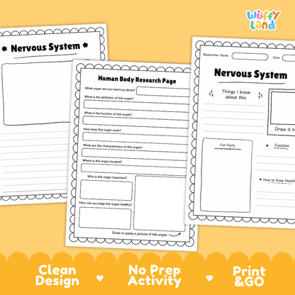 Nervous System Human Body Research Page and Worksheets