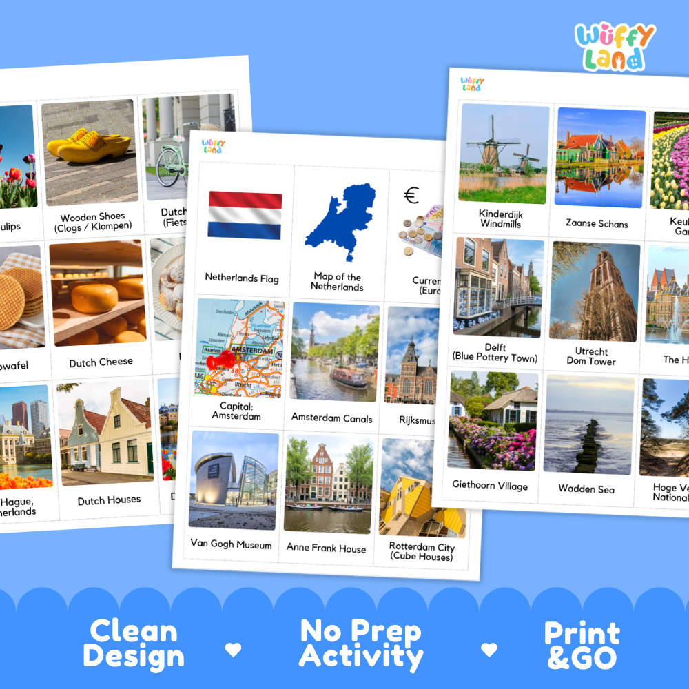 Real photo flashcards of Amsterdam canals, Kinderdijk windmills, Van Gogh Museum, and Rotterdam cube houses