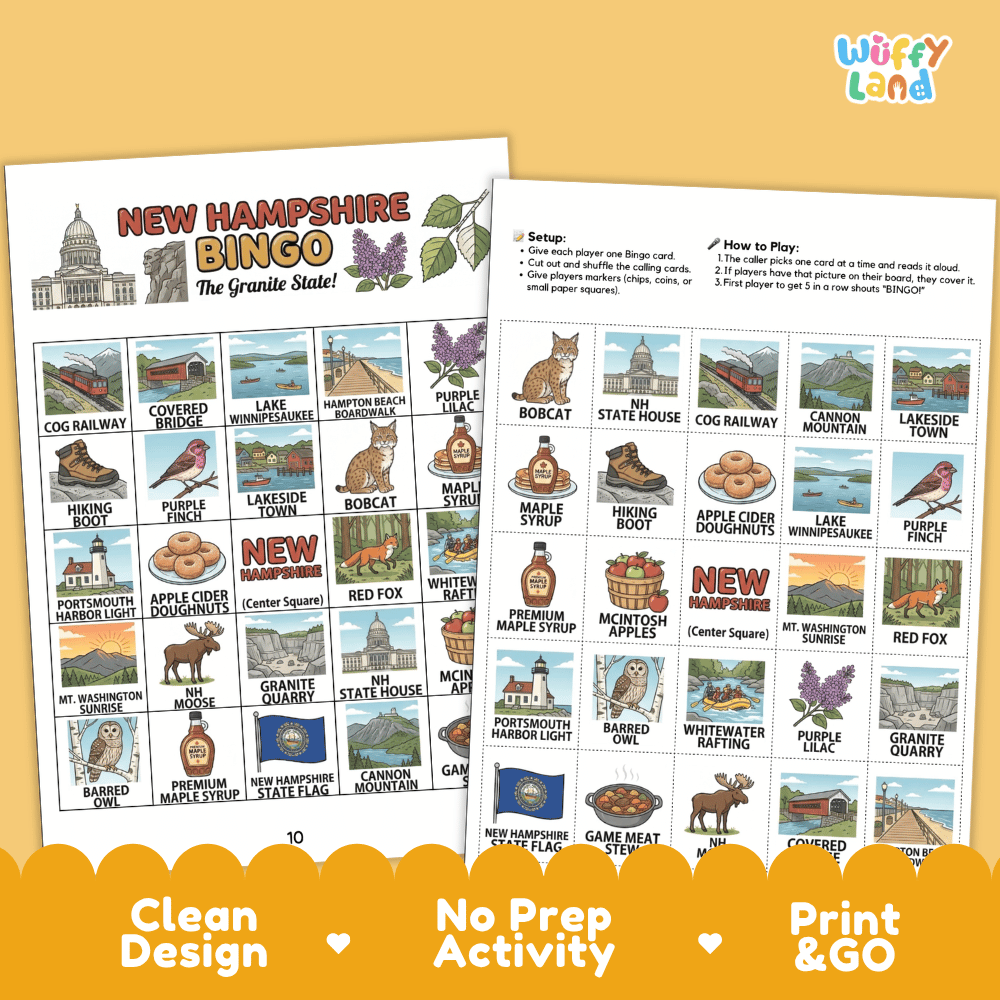 New Hampshire Geography BINGO Game Granite State Activity Printable Boards