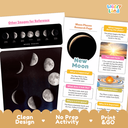 Two educational activity sheets from Wiffly Land about moon phases, displayed on a tan background with a decorative brown banner at the bottom. The left sheet shows a moon phases reference image, and the right sheet is titled 'New Moon' with text and a moon graphic.
