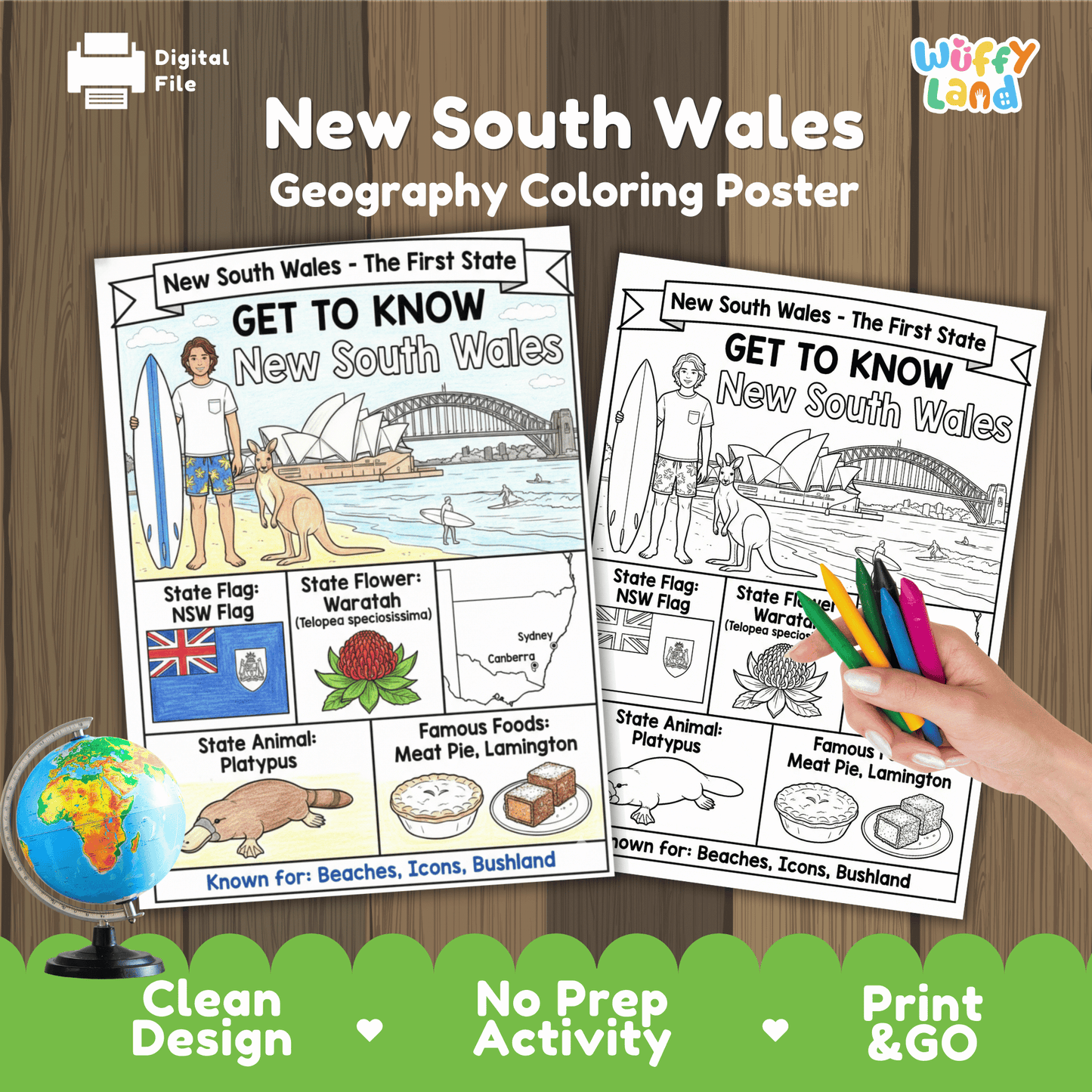 New South Wales State Study Geography Coloring Page Worksheet Activity