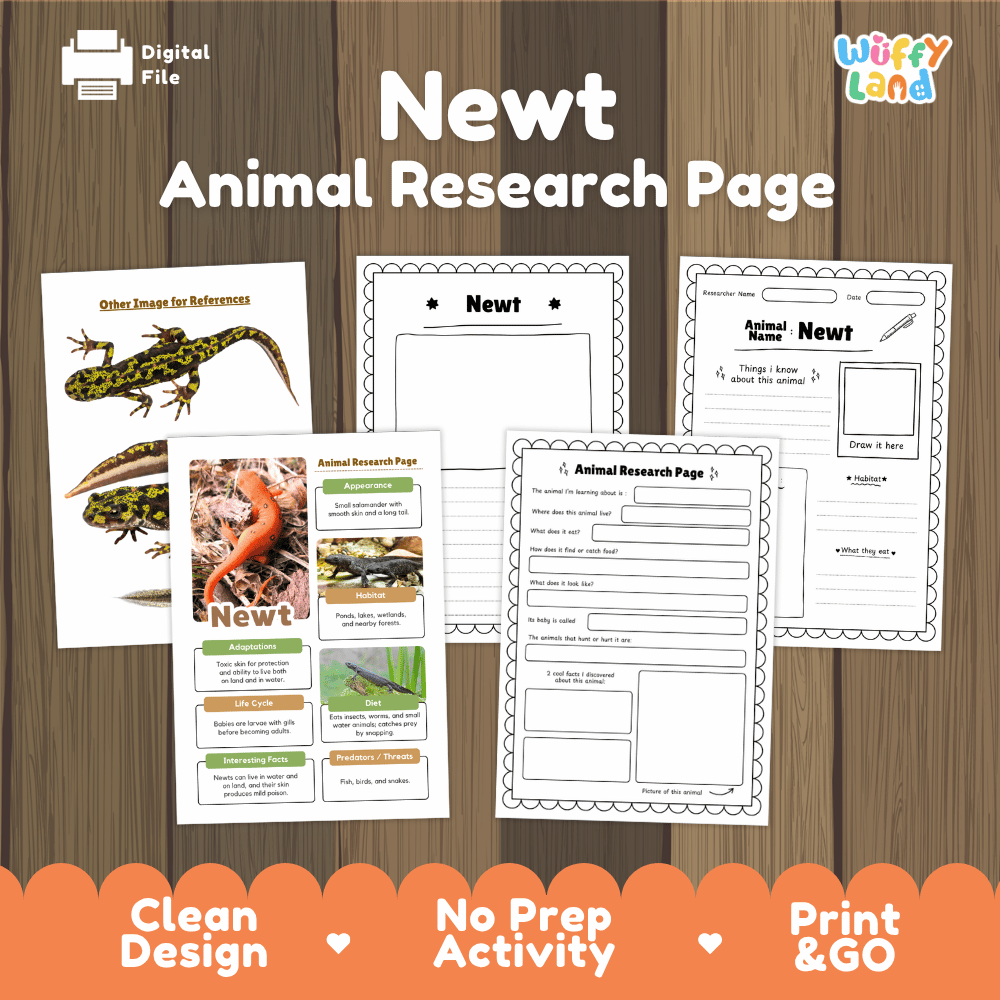 Newt Animal Research Page Worksheets