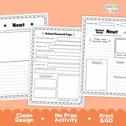 Newt Animal Research Page Worksheets