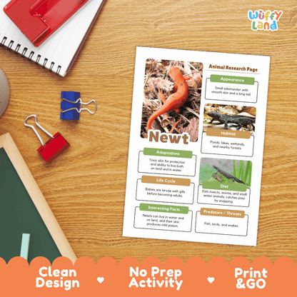 Newt Animal Research Page Worksheets