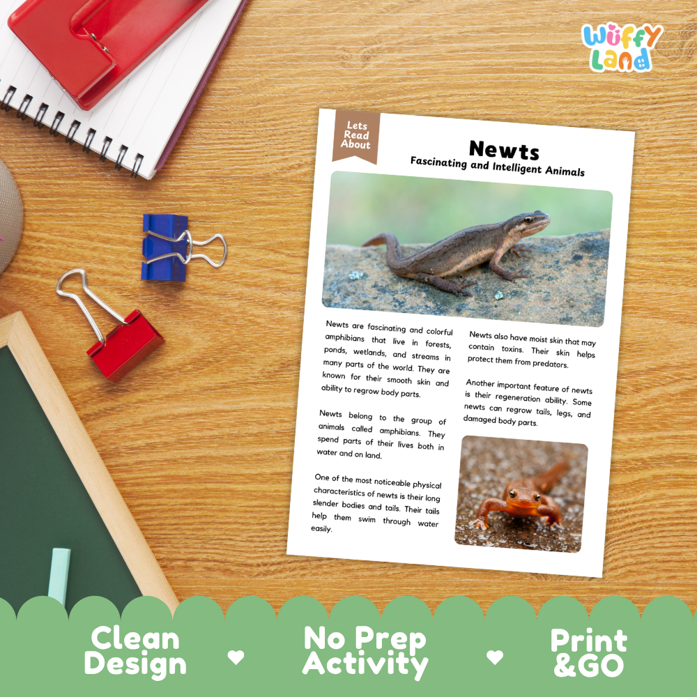 Newt Reading Passage and Comprehension Questions Worksheets with Answer Key