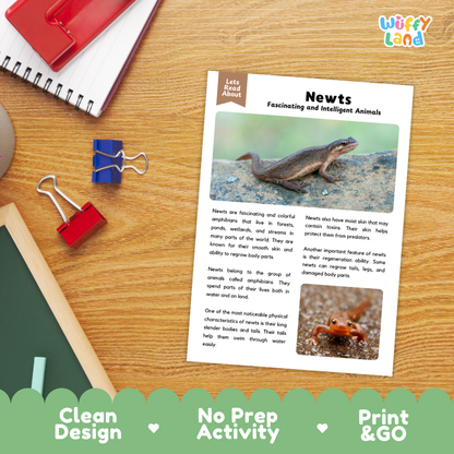 Newt Reading Passage and Comprehension Questions Worksheets with Answer Key