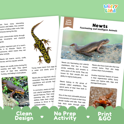 Newt Reading Passage and Comprehension Questions Worksheets with Answer Key