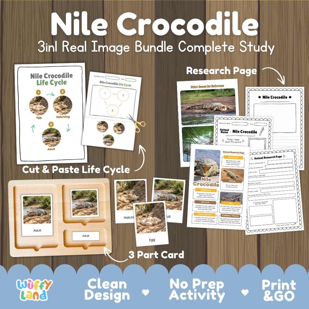 Nile crocodile 3-in-1 real image bundle complete study cover showing cut and paste life cycle, 3 part cards, and research pages