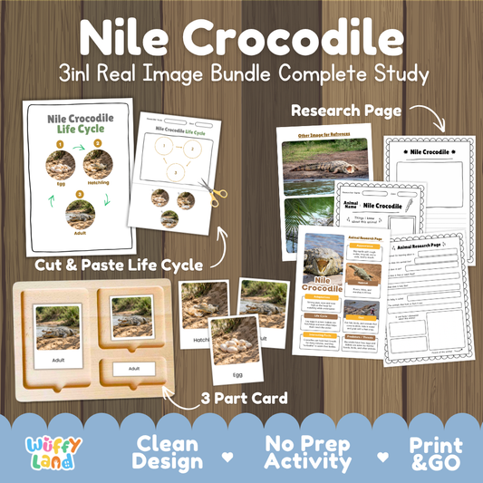 Nile crocodile 3-in-1 real image bundle complete study cover showing cut and paste life cycle, 3 part cards, and research pages
