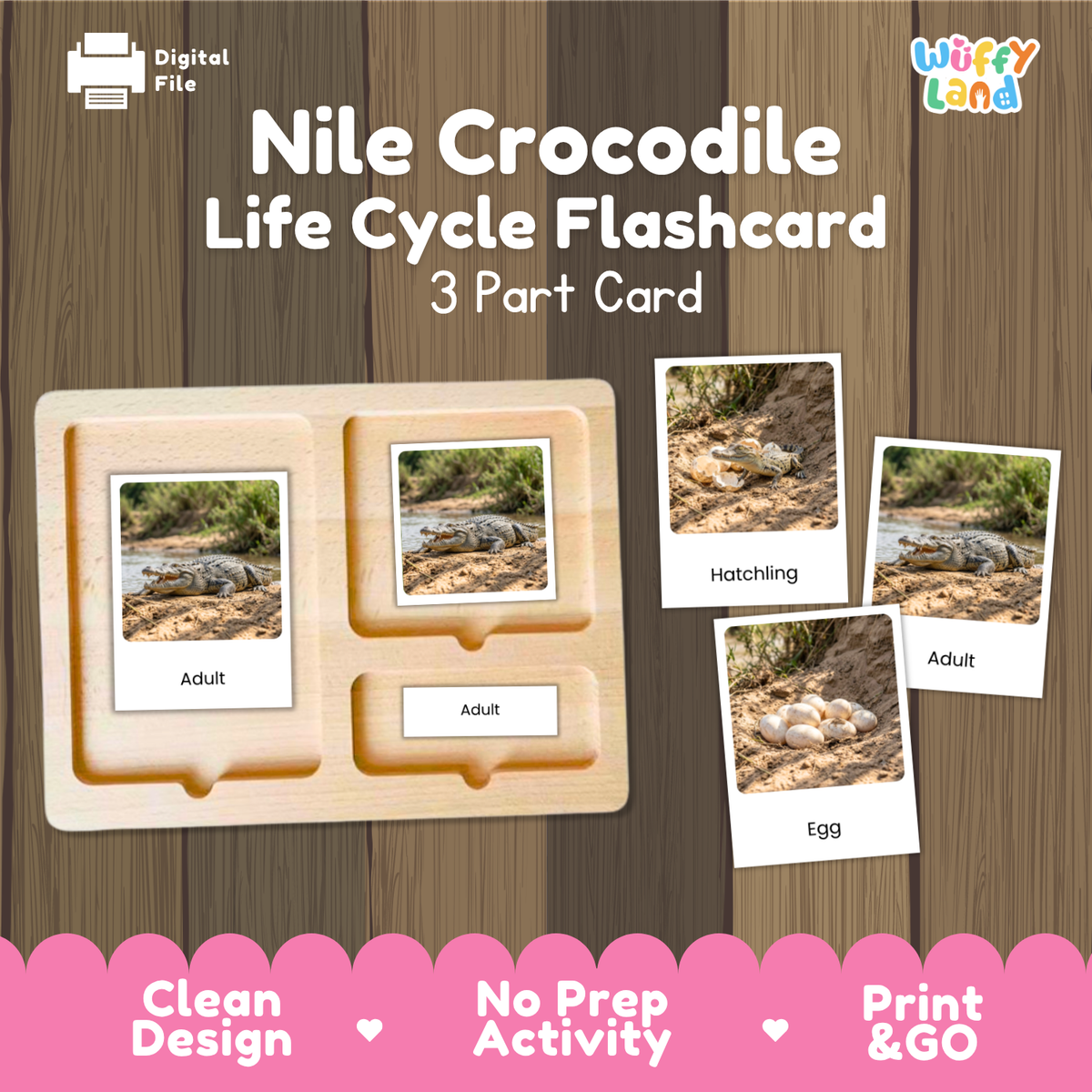 Montessori 3-part photo cards for Nile crocodile life cycle shown on wooden tray paired with animal research report worksheets and reference photo page