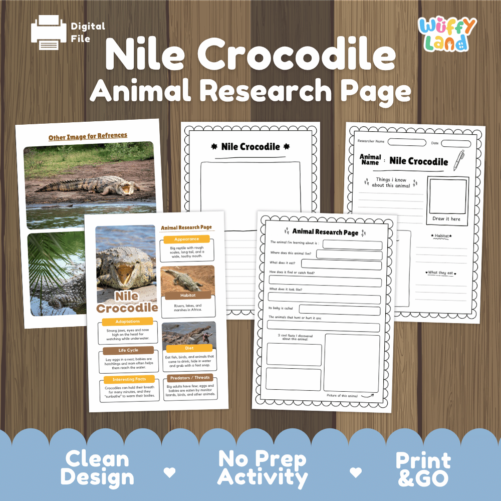 Nile Crocodile Animal Research Page activity sheet set by Wiffy Land, shown as a digital download on a wood-grain background with a blue scalloped footer banner.