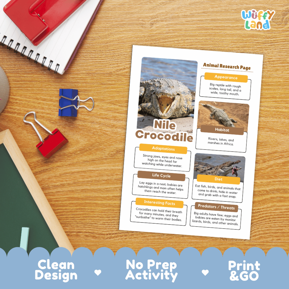 A printed educational activity sheet titled 'Animal Research Page: Nile Crocodile' lies on a wooden desk. The sheet includes a crocodile photo and text boxes about the animal.