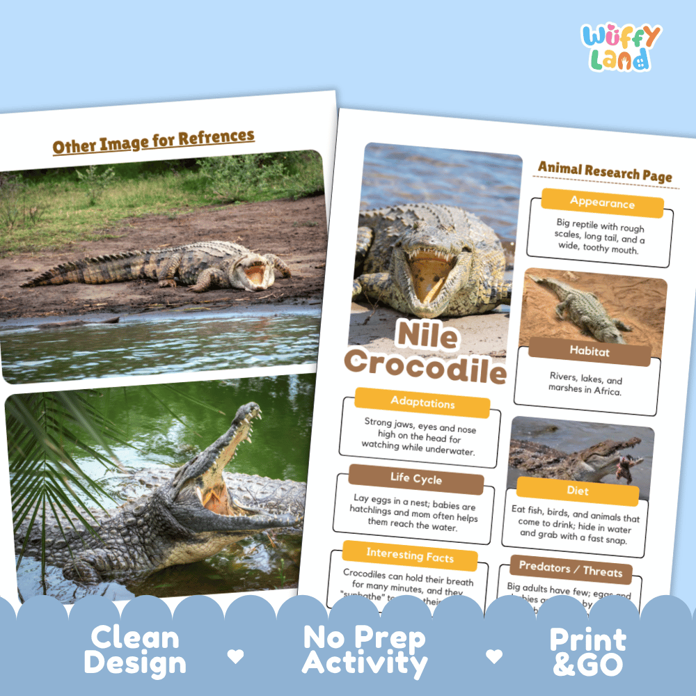 Two printed activity poster pages about the Nile crocodile displayed on a light blue background. The left page has the heading 'Other Image for References' with two crocodile photos.